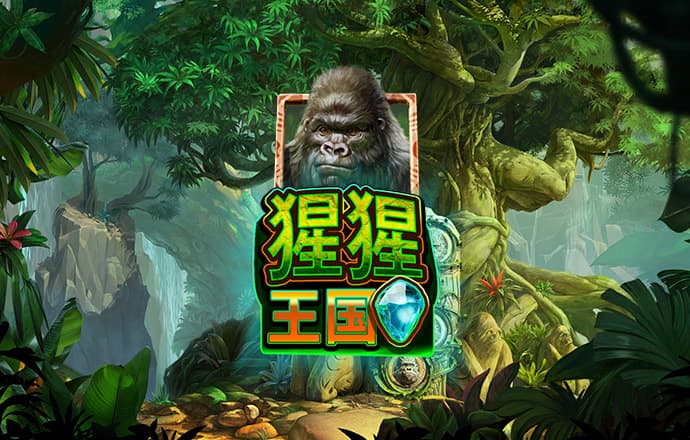 yw193coc最新版本